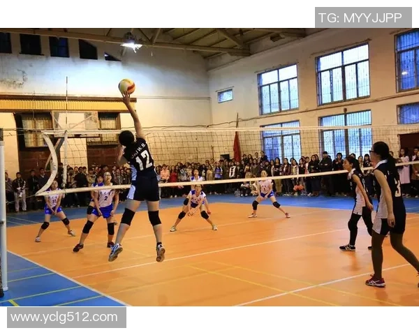 武汉排球队实力强劲荣登全国排球力量排行榜第五名